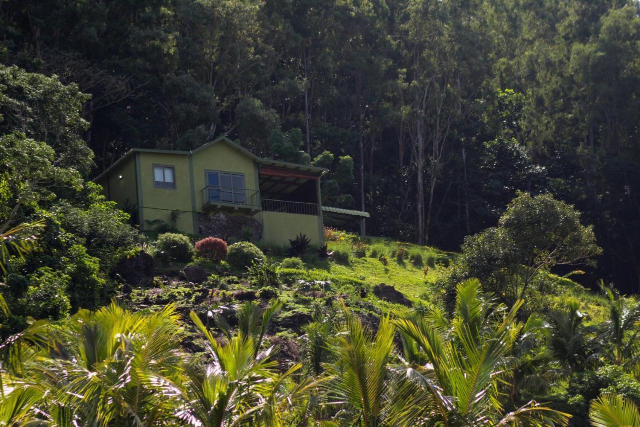 Lodge The Shack *